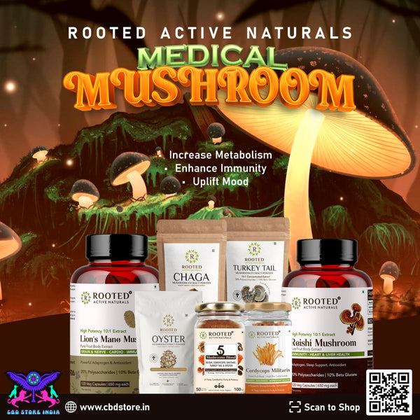 Mushroom Health Supplements