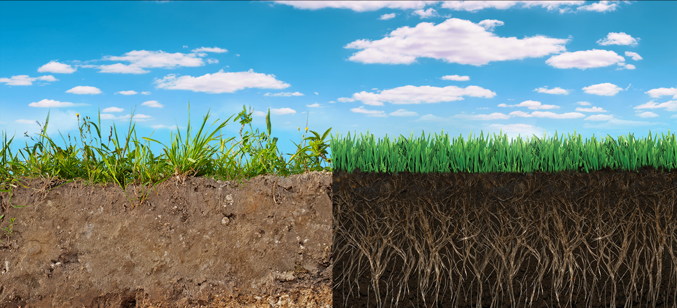 Много тепла плодородные почвы недостаточно влаги. Земля с травой. Плодородная почва. Плодородие почвы. Повышение плодородия земель.