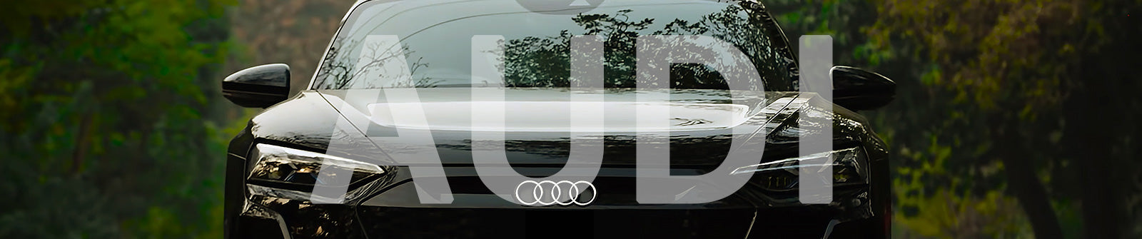  RS-Mount Ablage Becherhalter Mittelkonsole für Audi  etron GT - Made in GERMANY