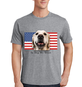 shirts for labradors