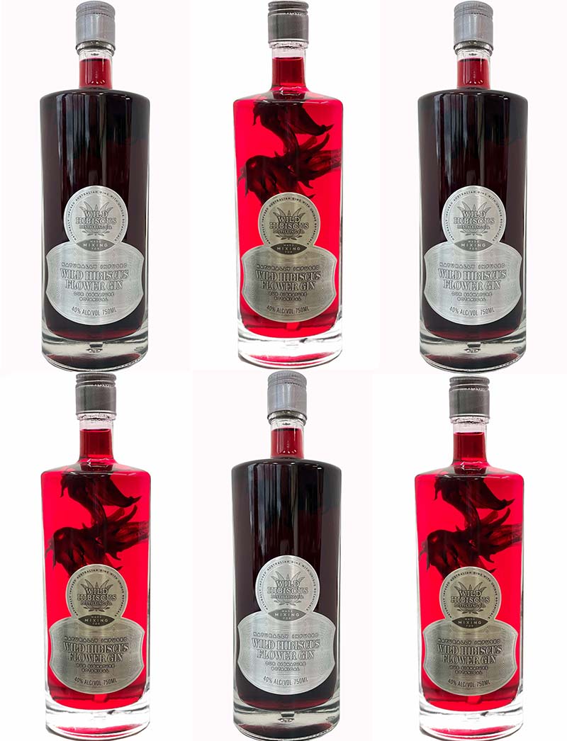 fleurs d'hibiscus assortiment gin