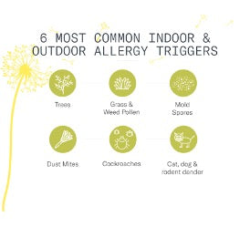 Déclencheurs d'allergie courants