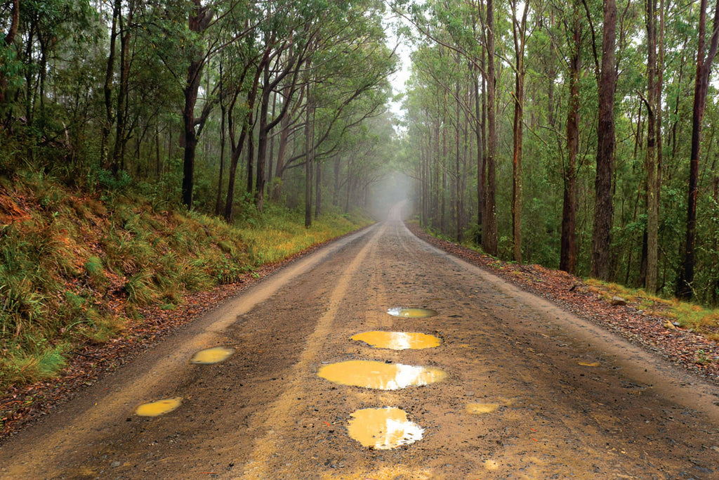 The Barrington Tops National Park Road, NSW