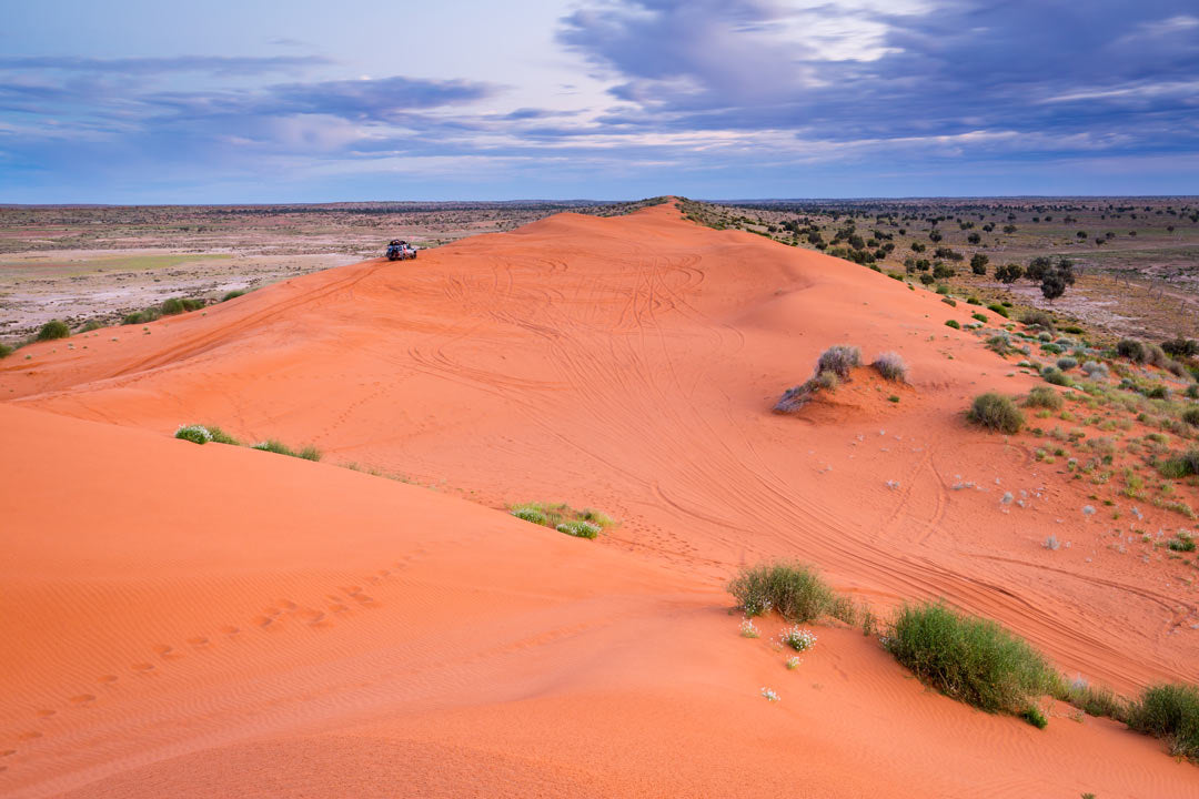 Hema Maps Simpson Desert