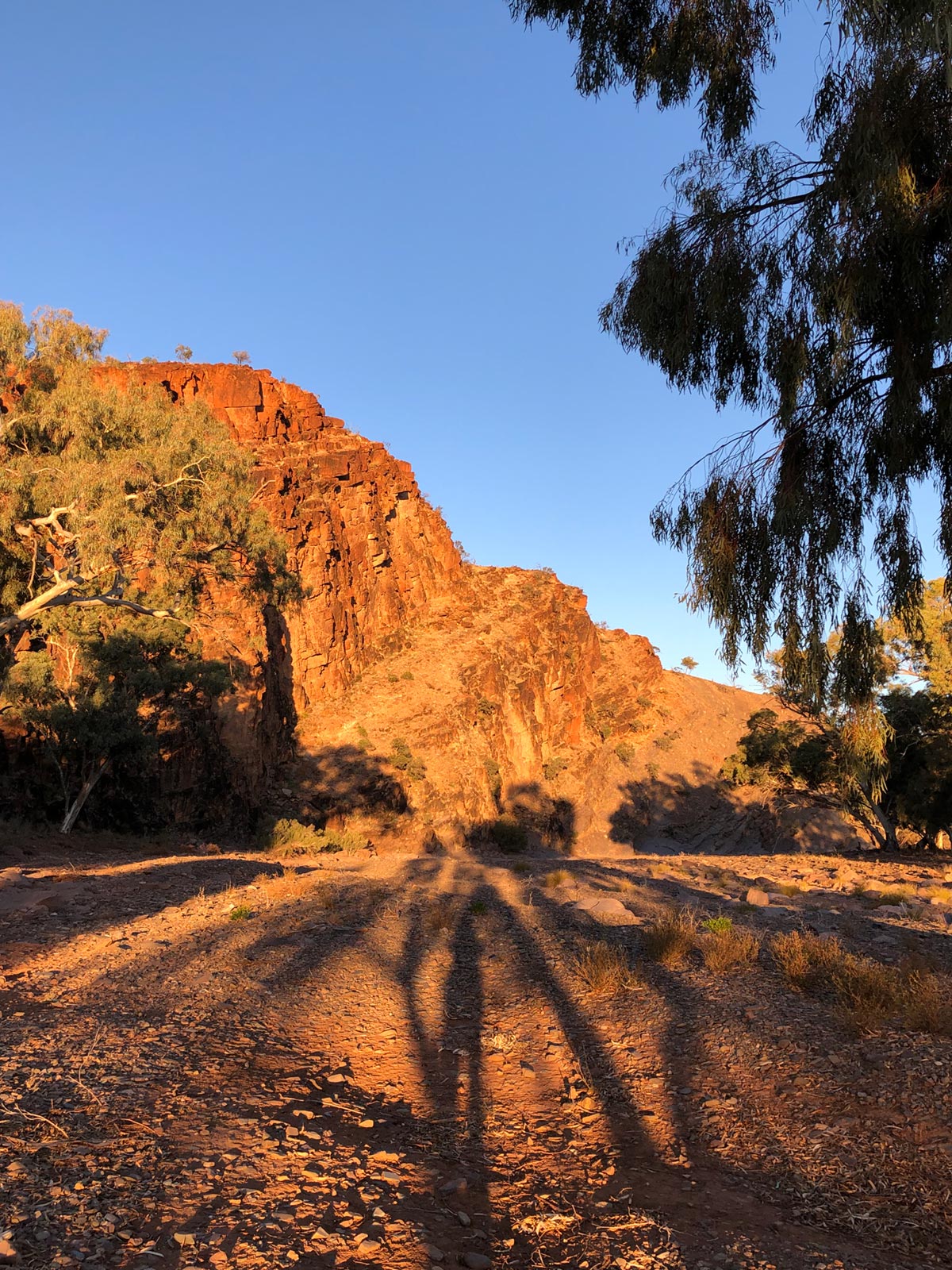 Chambers Gorge camping area, Wertaloona, SA