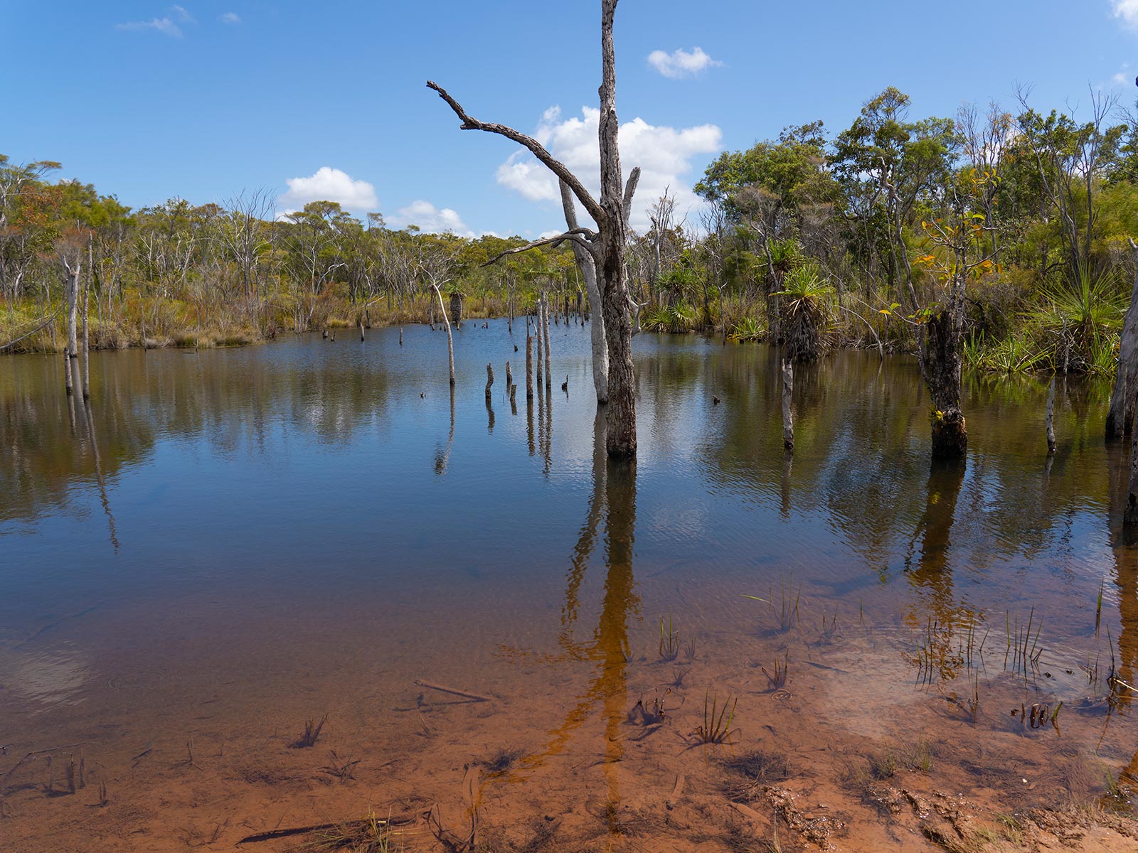 Cape York Hema Maps Tour