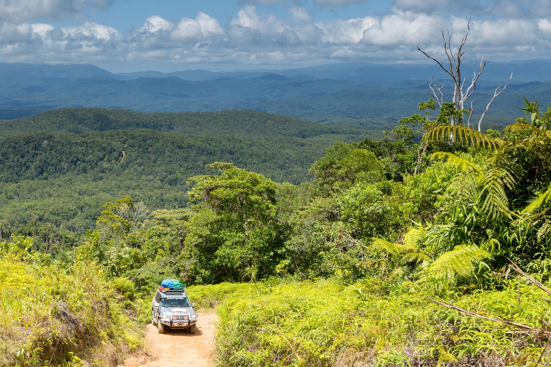 Driving the CREB Track Hema Maps