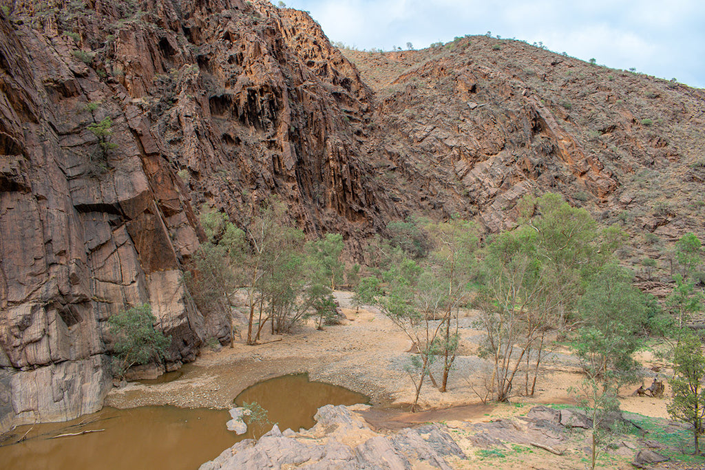 Mozzies and Midges near the Outback waterholes