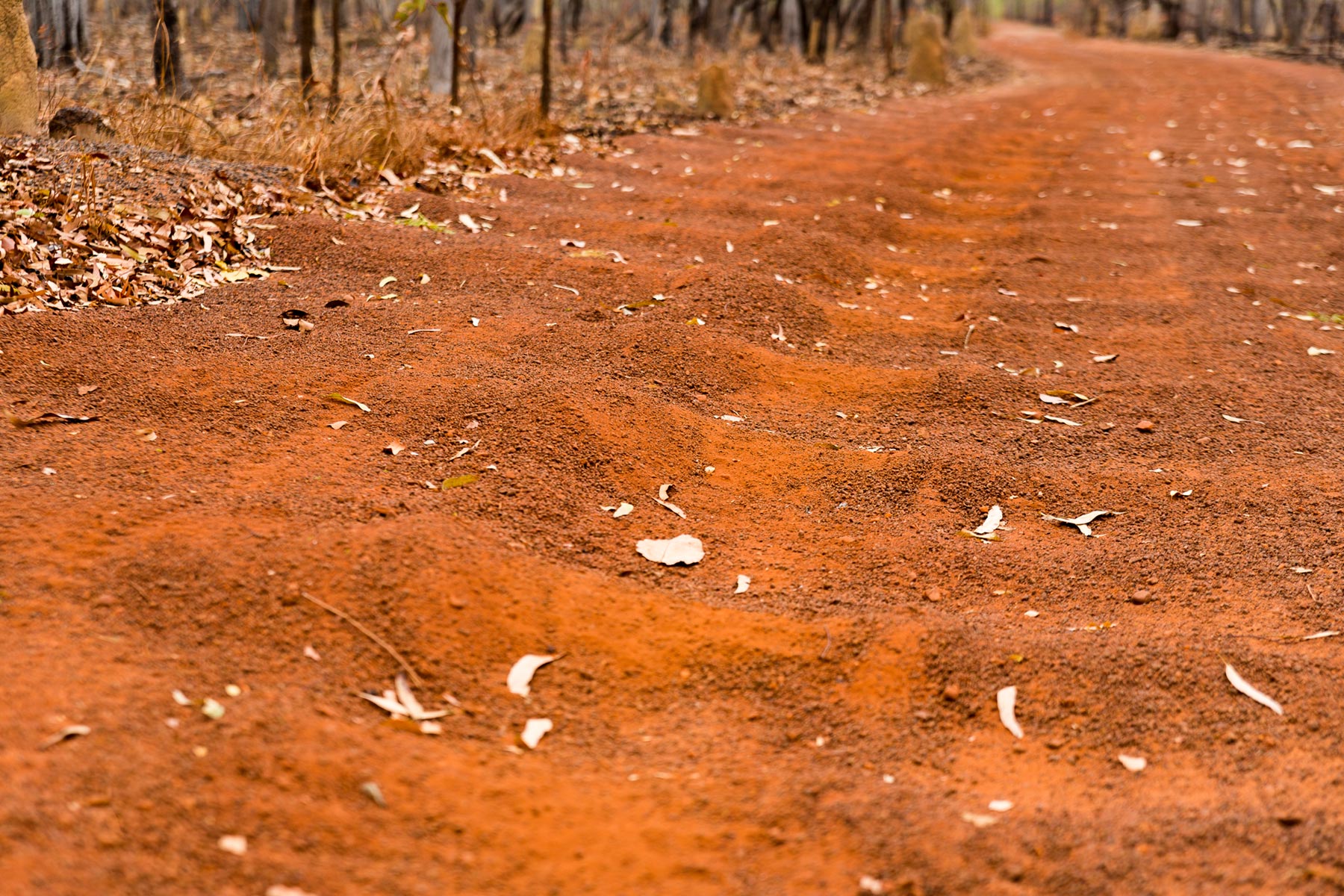 Frenchmans Track 4WD Drive (corrugations) Hema Maps