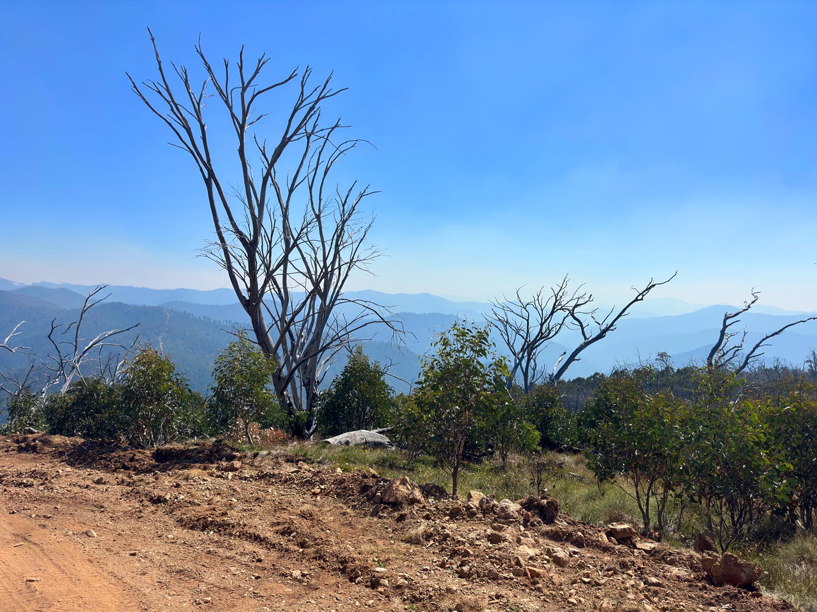 Hema Maps Vic High Country Camping