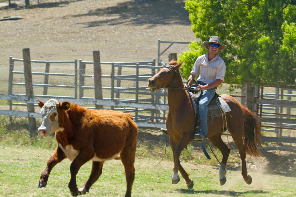 Cattlemen