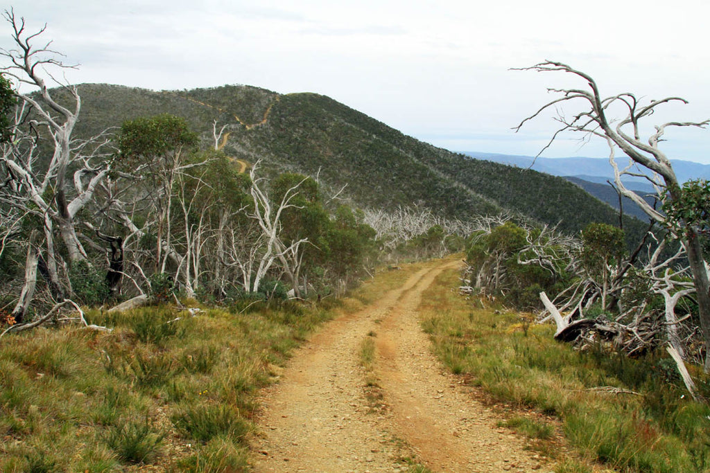 Vastness of the Vic High Country