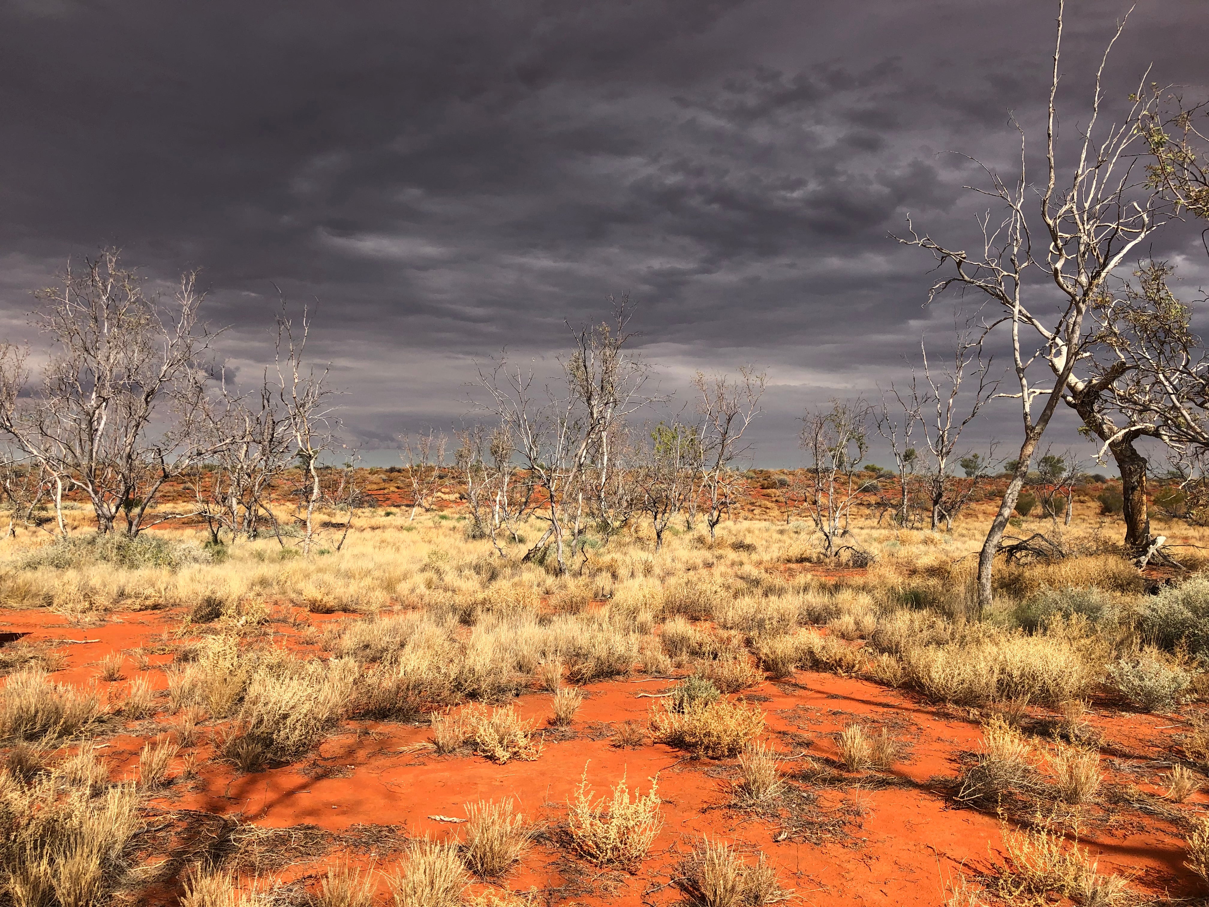 Hema Maps Simpson Desert