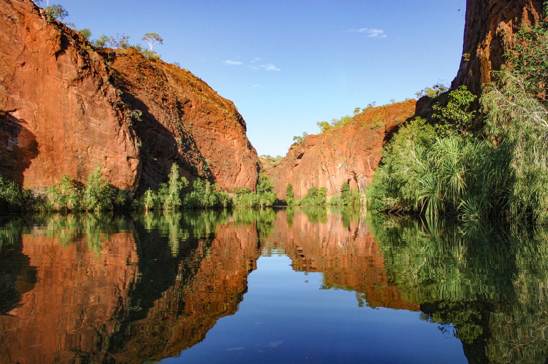 Emerald waters and red cliffs in Lawn Hill Gorge, Boodjamulla (Lawn Hill) National Park.