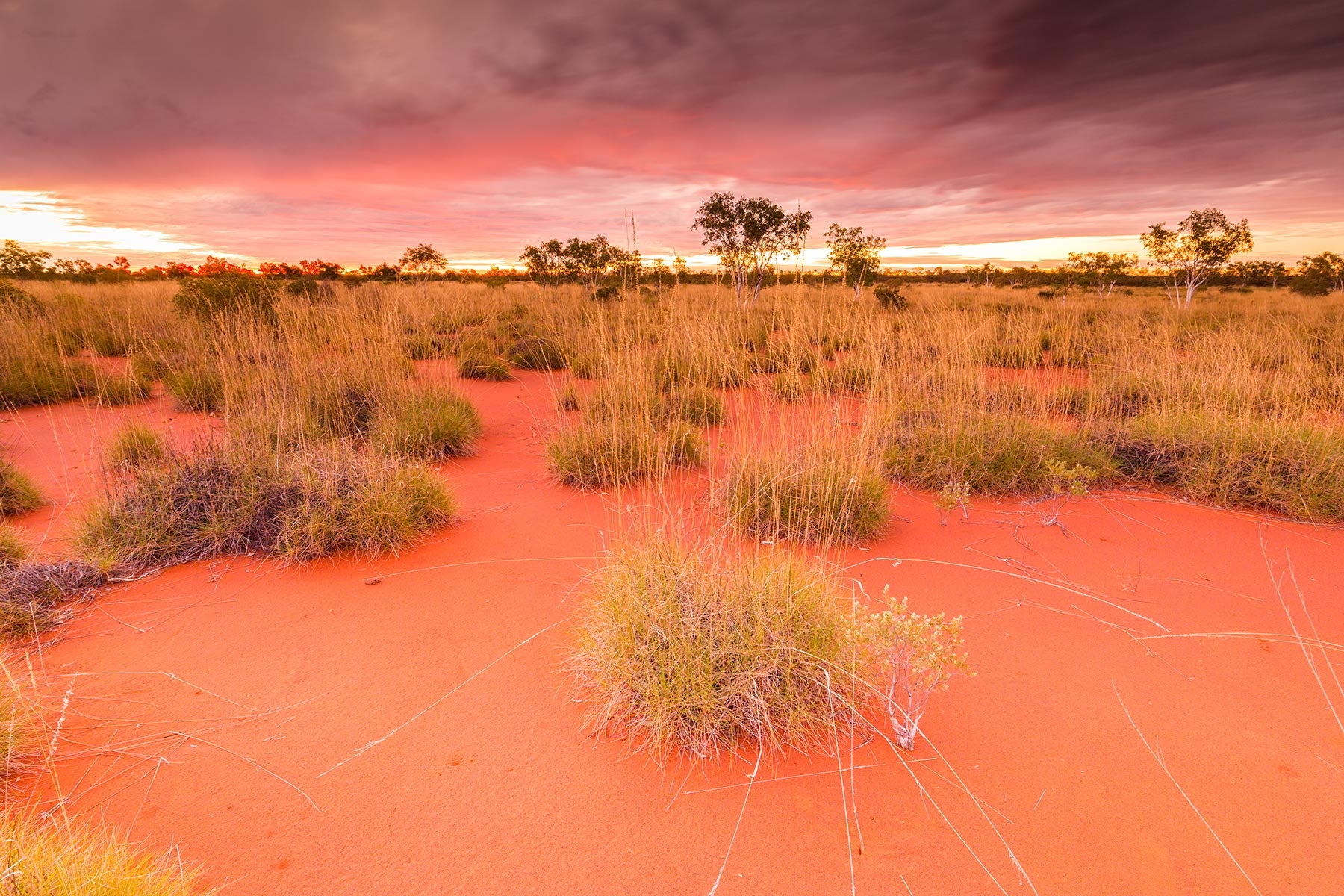 Canning Stock Route Track