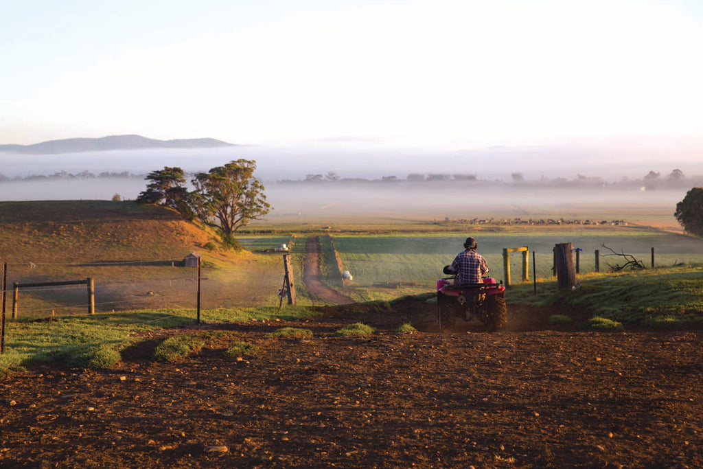 Orbost _ Dairy Farm _ Tractors 