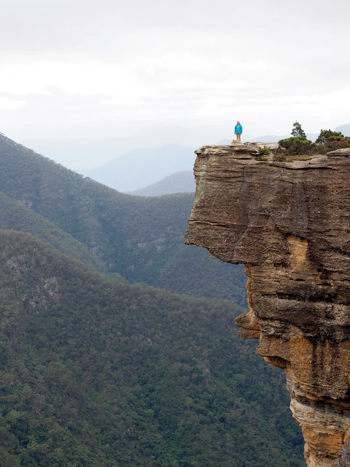 Kanangra Walls from the plateau in Kanangra-Boyd National Park, NSW