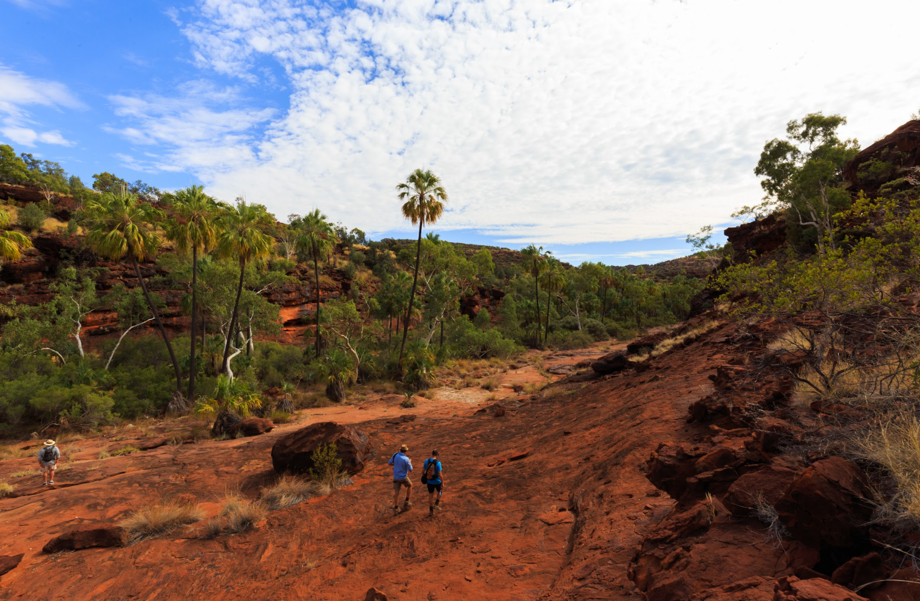 Palm Valley will blow you away