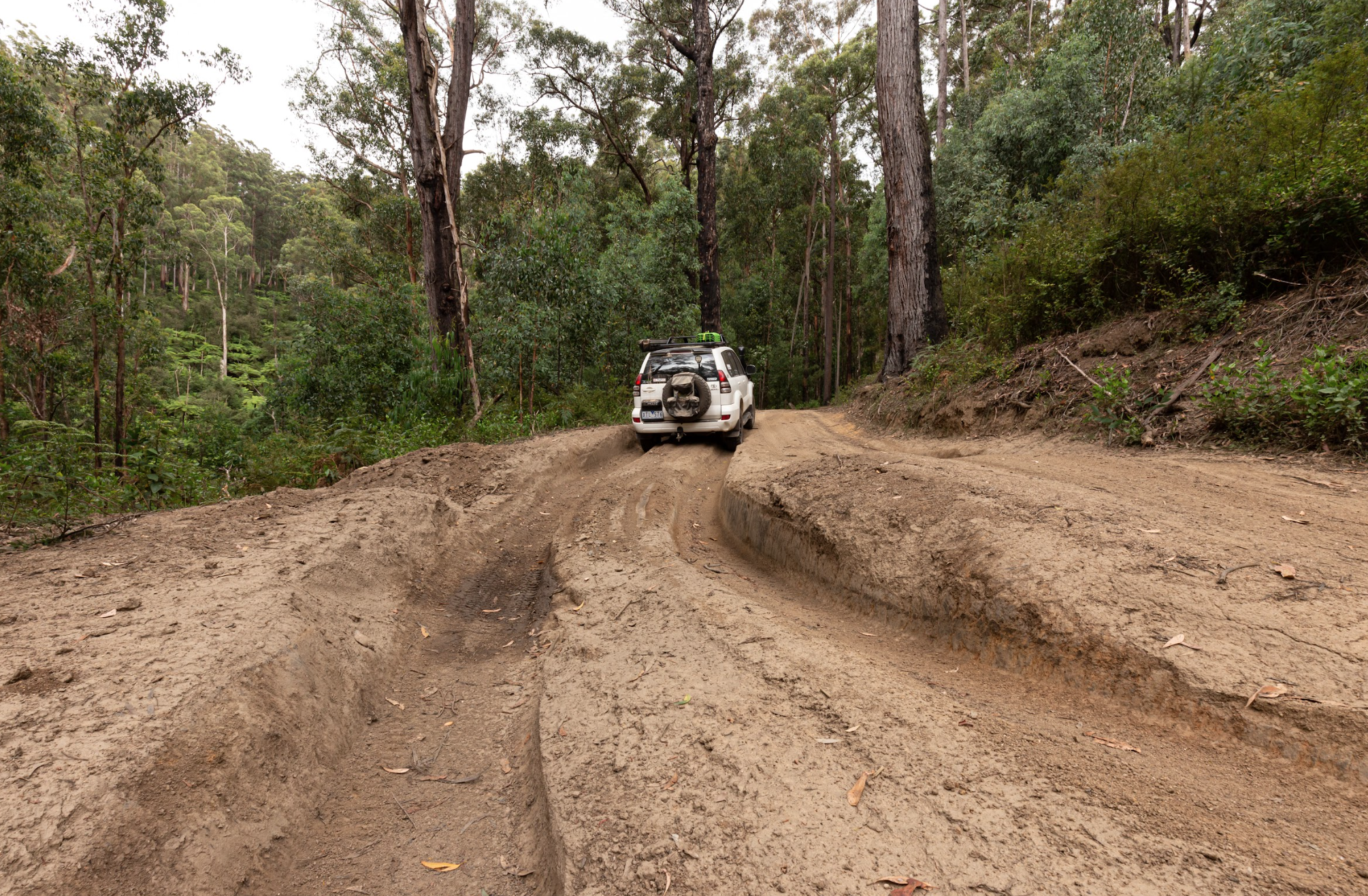 4x4 day trips melbourne