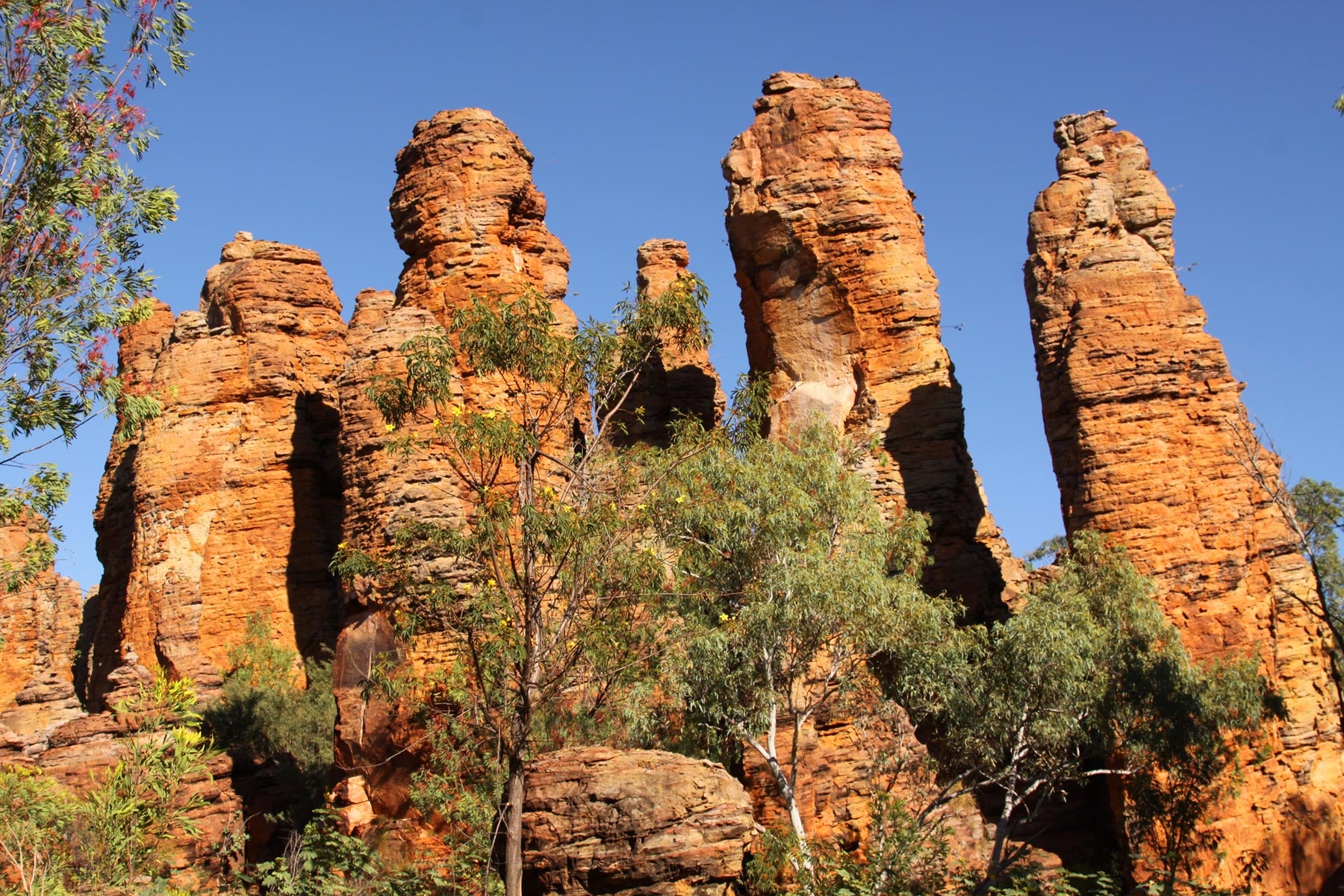 Lost City formations in the small Caranbirini Conservation Reserve