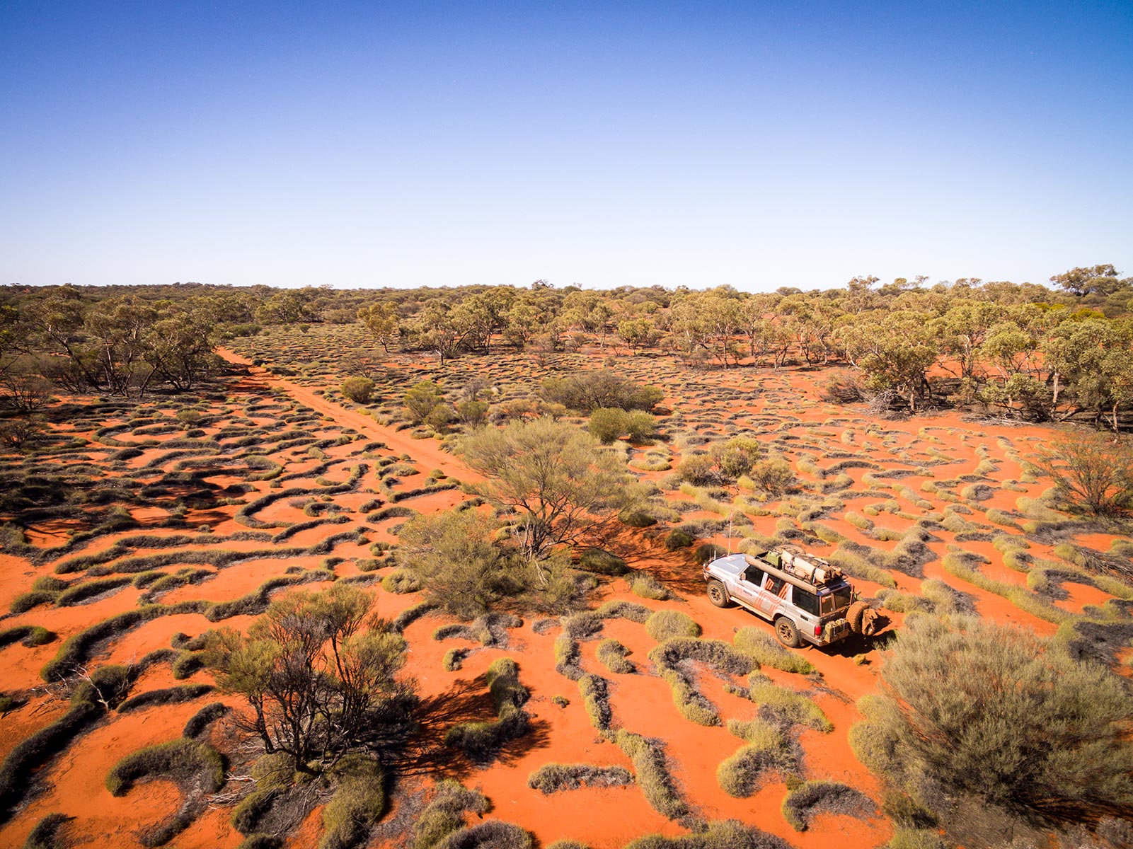 Spinifex throughout Mamungari Conservation park, Hema Maps