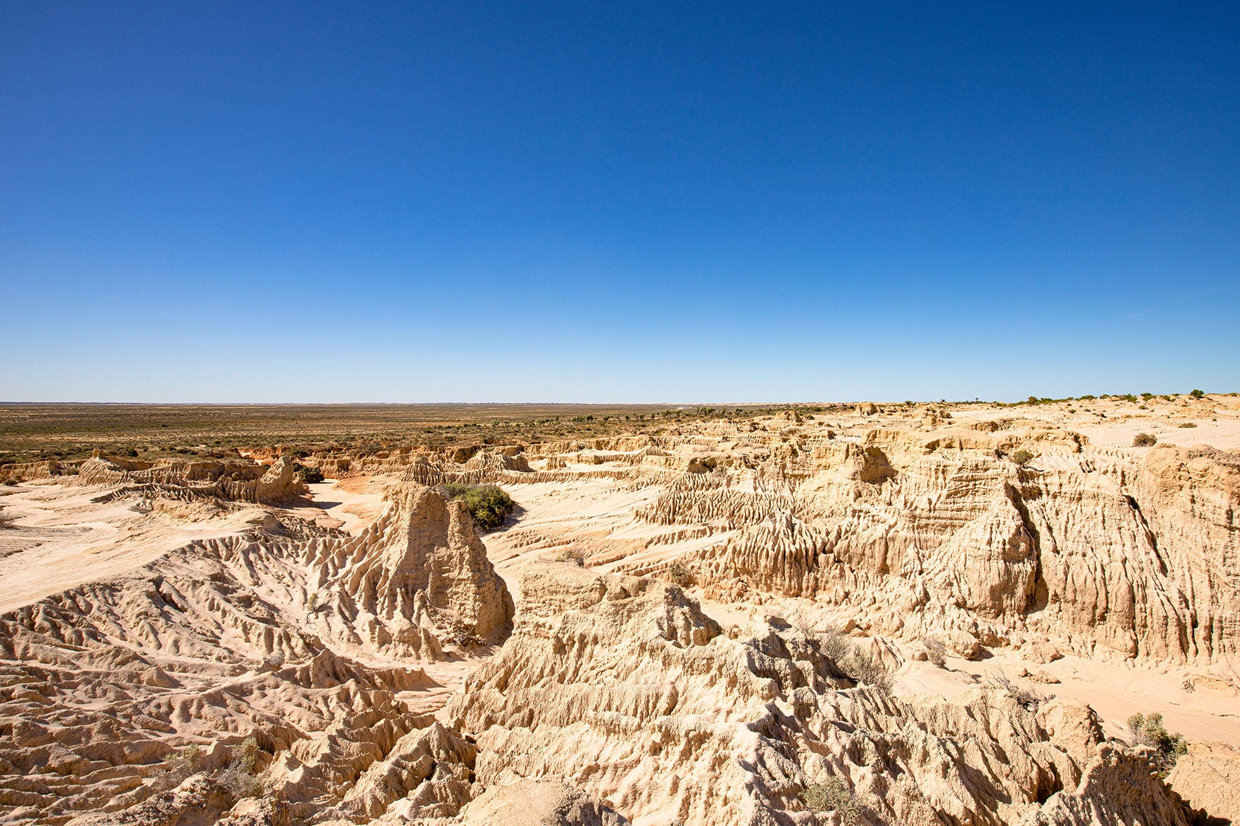 The lunettes are stunning at Red Top lookout