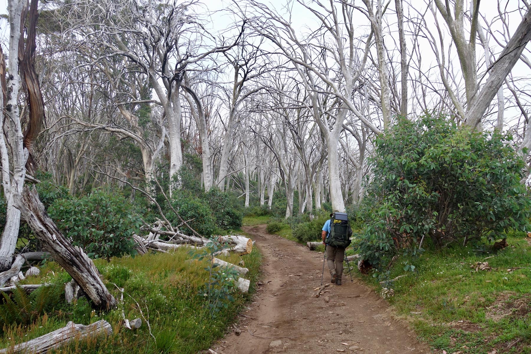 Vic High Country walking trail