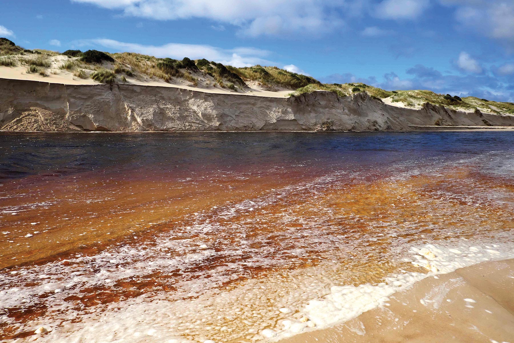 Warren Beach Crossing