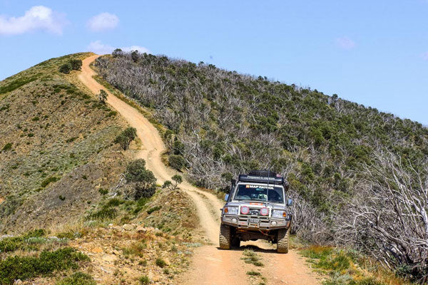 are dogs allowed in the vic high country