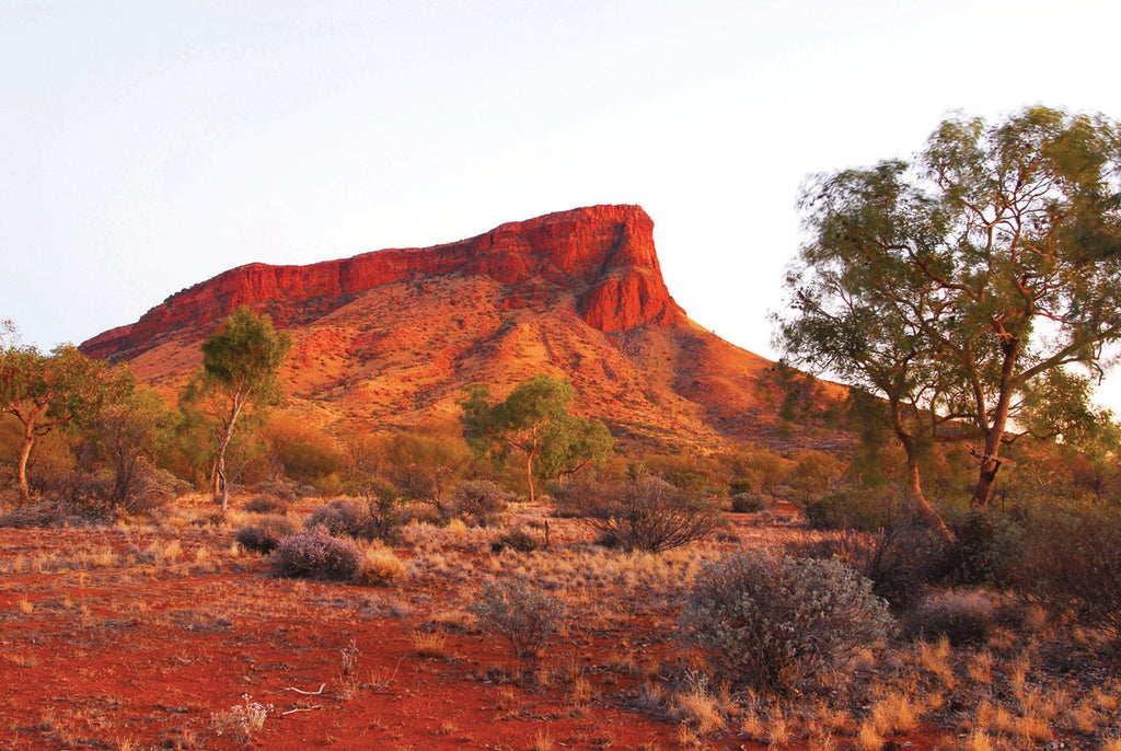 Central Australia - Through a Land of Myth and Legend_ Hema Maps Desert