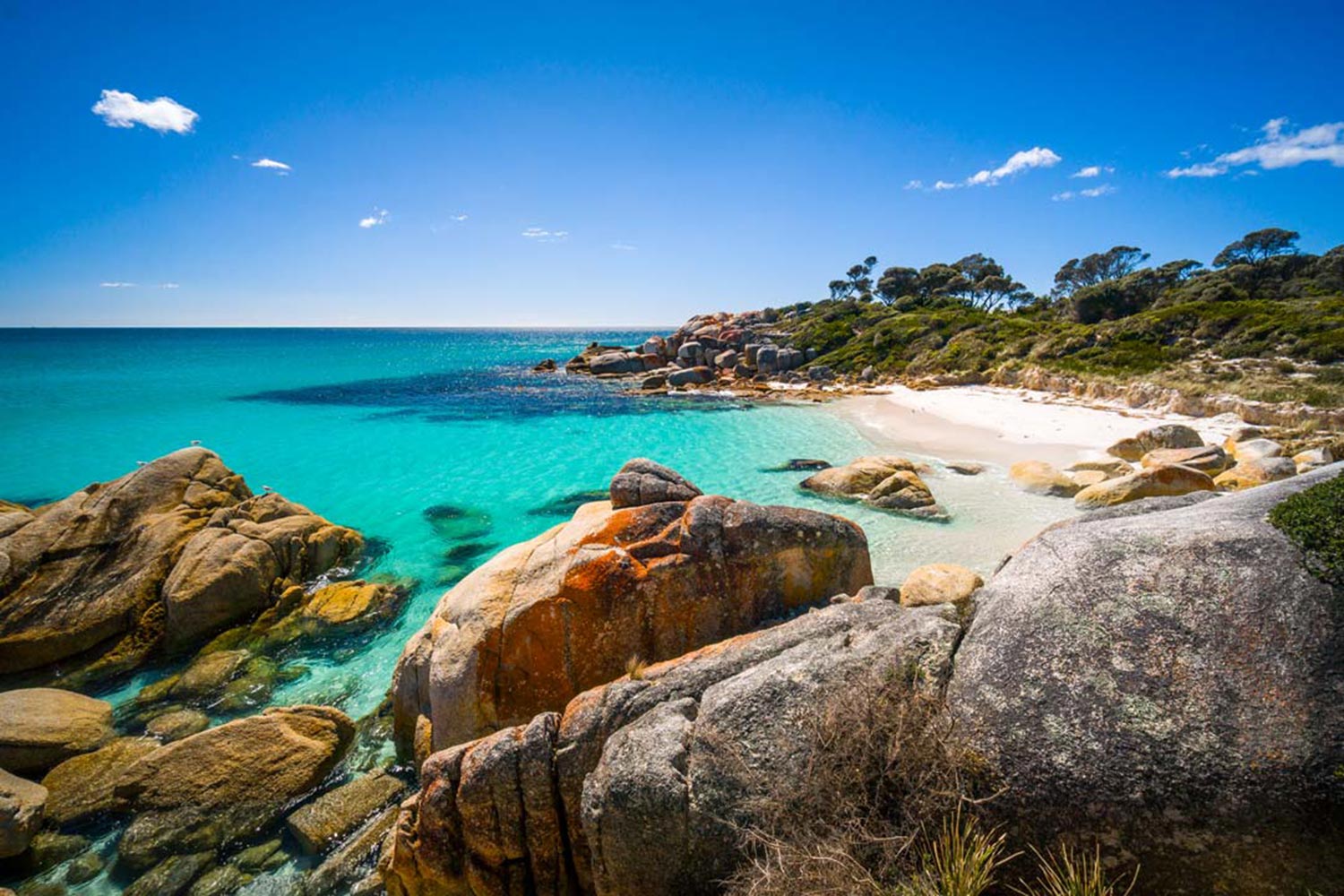 Bay of Fires Conservation Area Tasmania