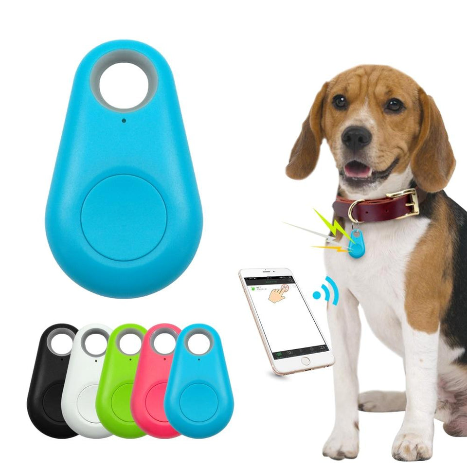 pet gps tracker