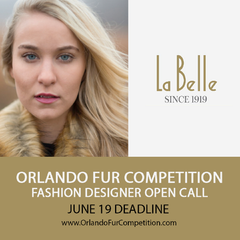 Orlando Designer Fur Competition
