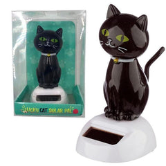 gato negro solar