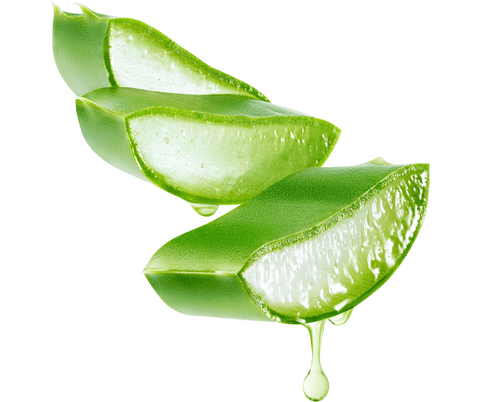 aloe vera contre dermatite