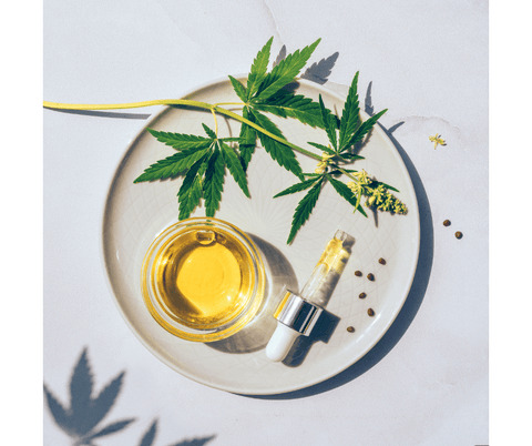 dosage cbd amincissement amaigrissement minceur