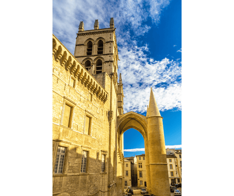 montpellier cathedrale nostradamus