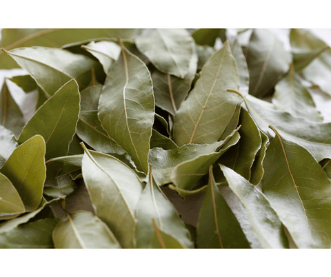 Feuilles de laurier