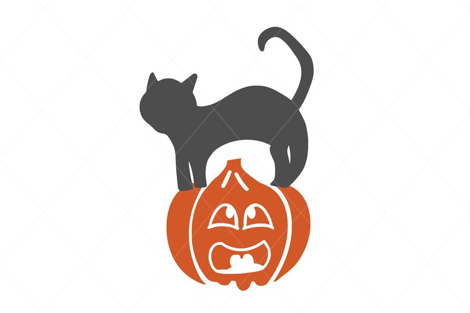 Download Pumpkin Svg Scared Pumpkin Pumpkin Cut File Black Cat Svg Pumpkin Designs Nook Yellowimages Mockups