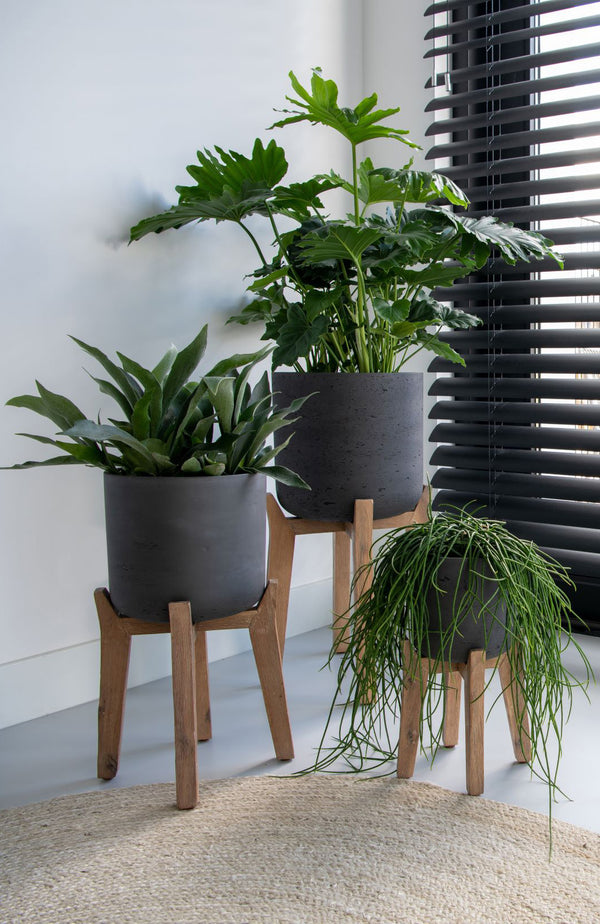 Nax Schwarz - Pottery Pots | Finestgreen