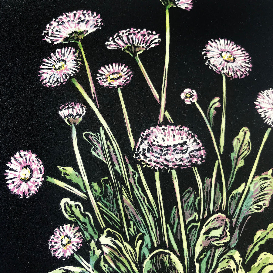 Reduction block print with watercolour detail. Canadian printmaker Kristine MacGregor. English Daisy Reduction Relief Print