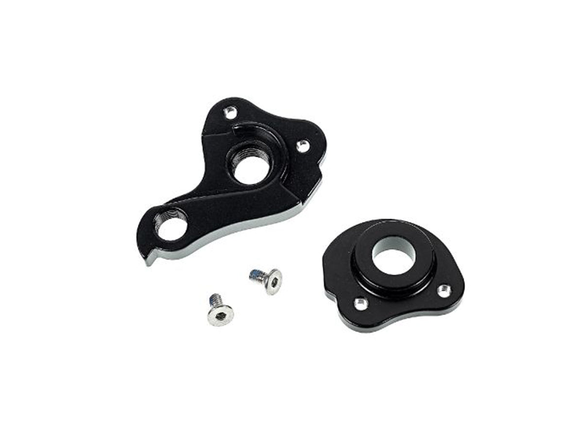 bianchi derailleur hanger