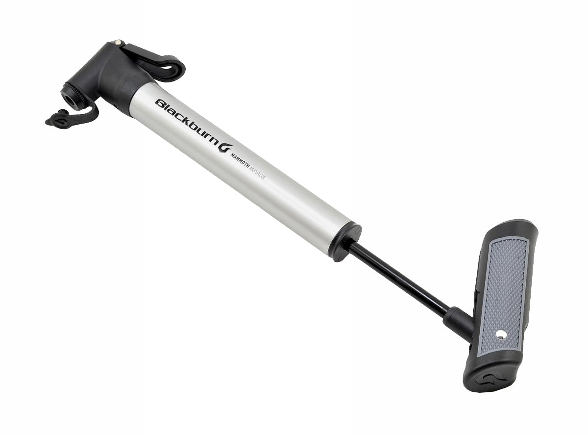 blackburn mammoth anyvalve mini pump