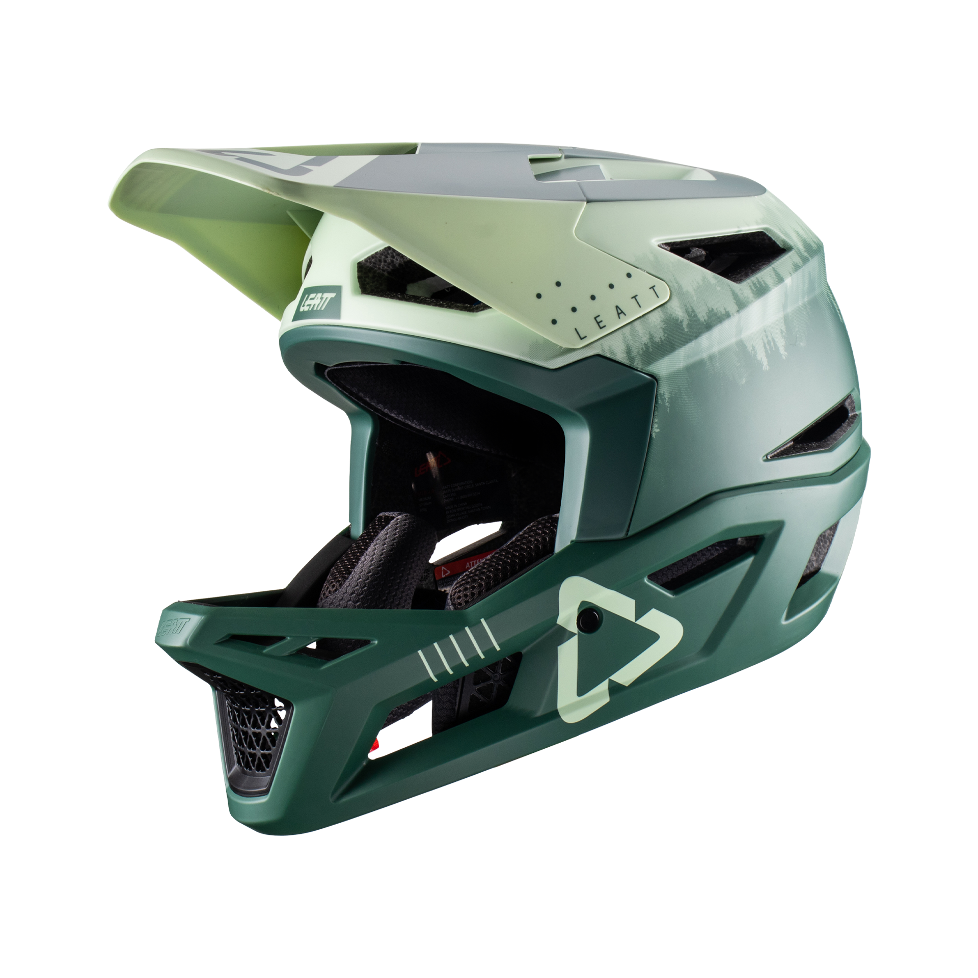 Leatt MTB 4.0 Full Face Helmet - Ivy - 2022 - Cambria Bike