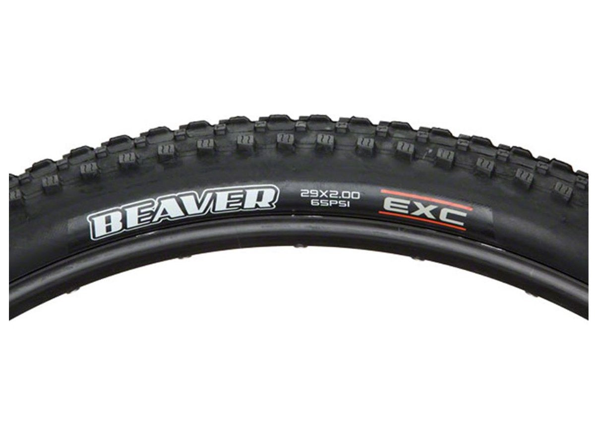 beaver maxxis