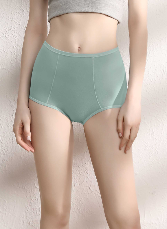 Sorella Flossy Briefs II Maxi Panty S20-073239 (Plus Size Design