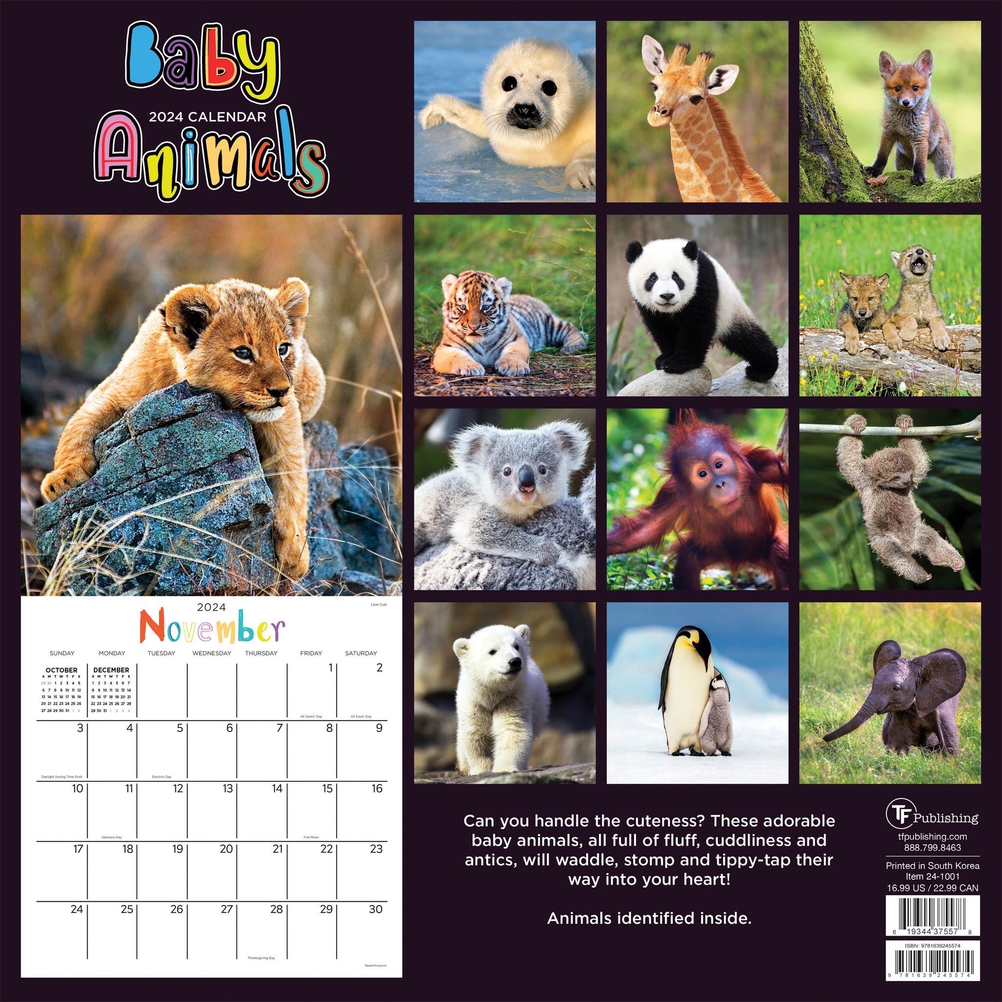 2024 Baby Animals Wall Calendar TF Publishing Calendars + Planners