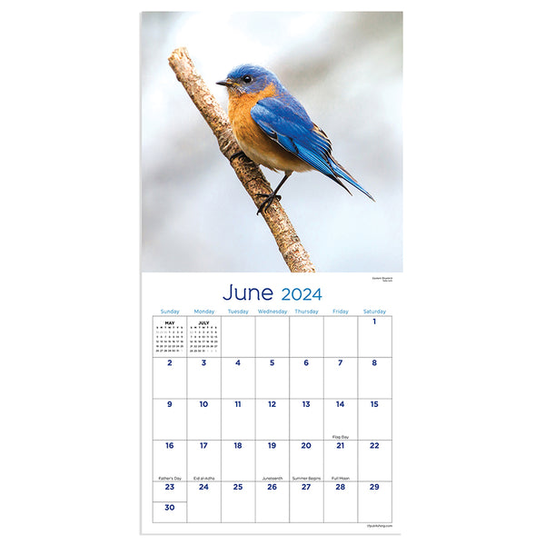 2024 Backyard Birds Mini Calendar TF Publishing Calendars