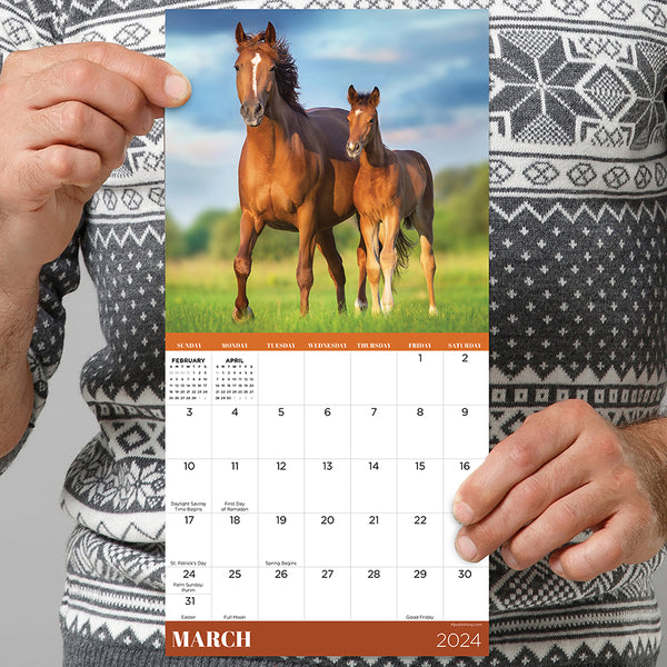 2024 Horses Mini Calendar TF Publishing Calendars + Planners