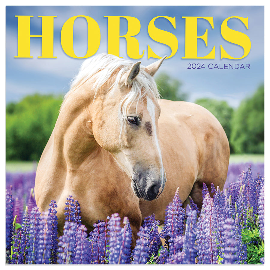 2024 Horses Mini Calendar TF Publishing Calendars + Planners